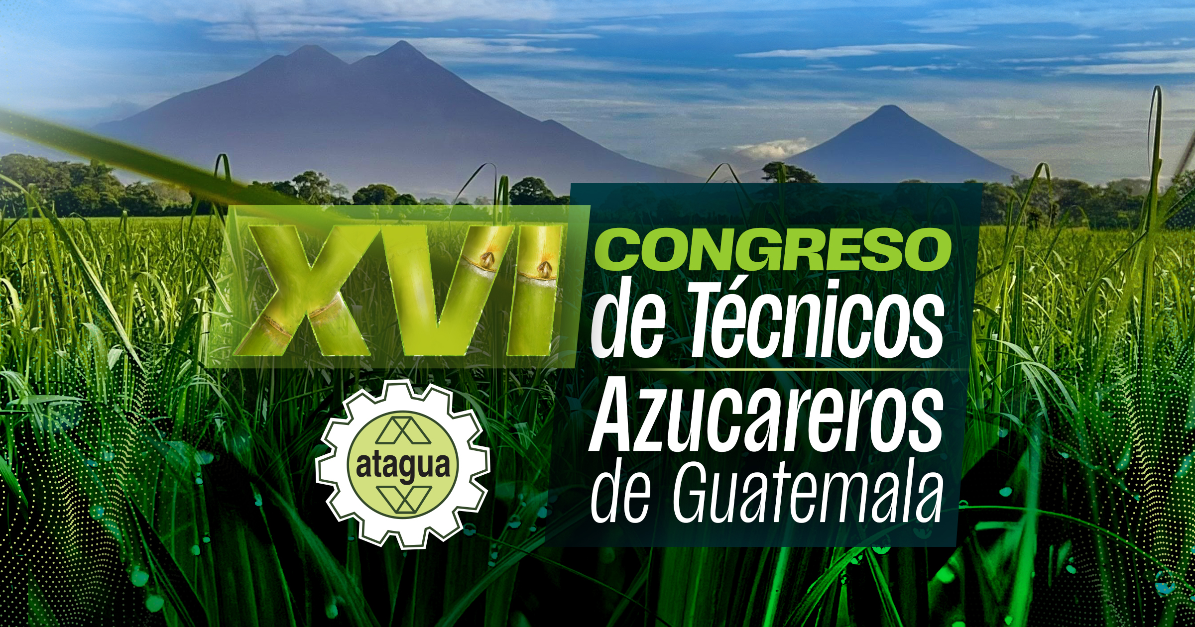XVI CONGRESO ATAGUA